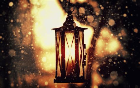 Embracing the Radiance of Winter's Illuminated Nights